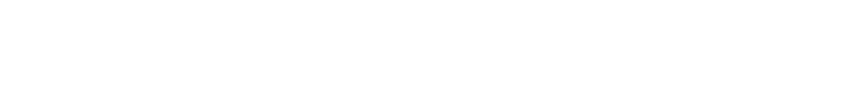 SOLO PLATAFORMAS